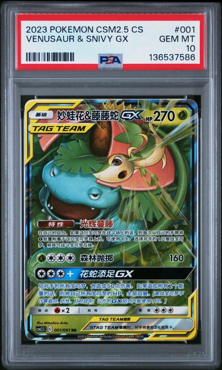 Venusaur & Snivy Gx
