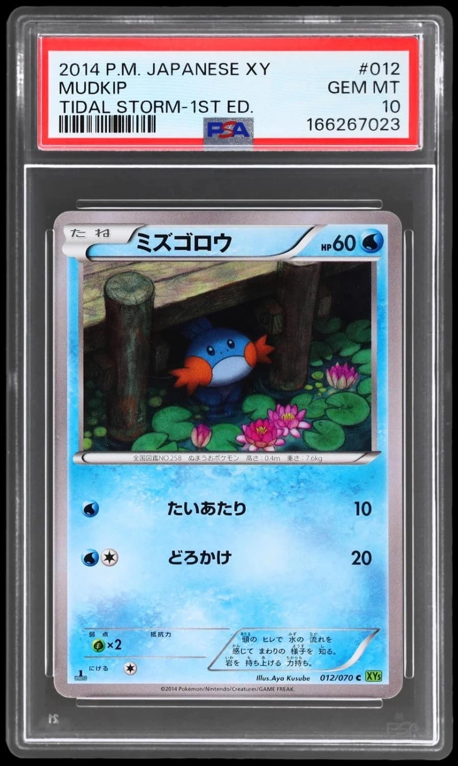 Mudkip