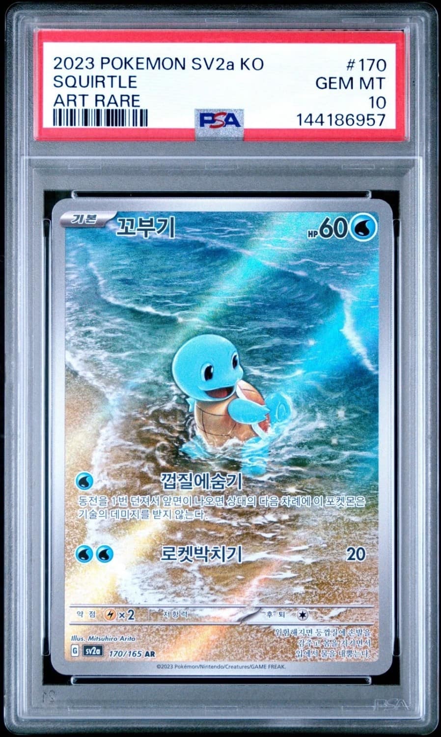 Squirtle