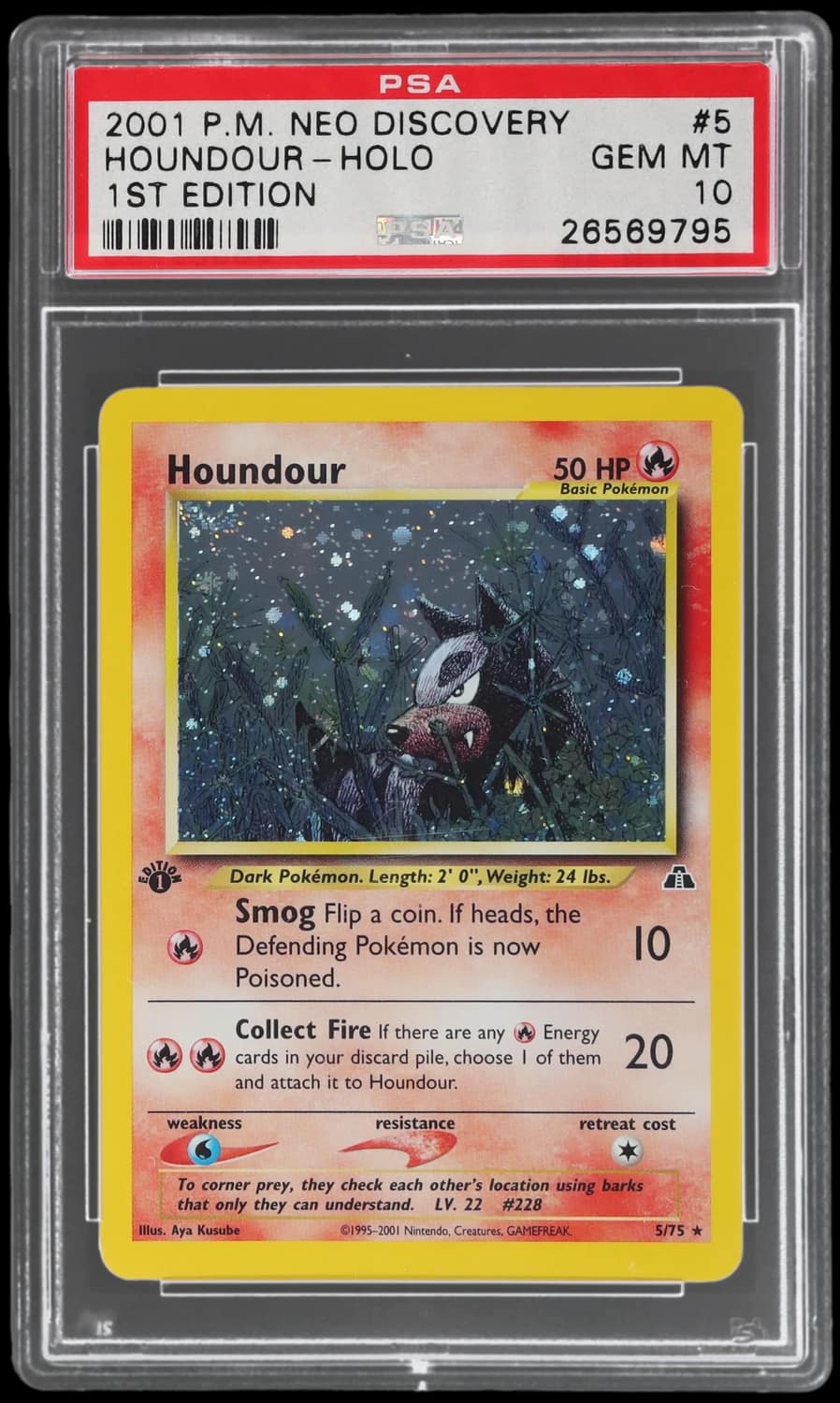Houndour
