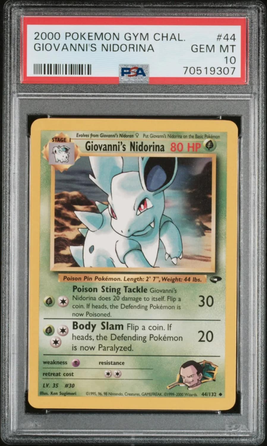 Giovanni'S Nidorina