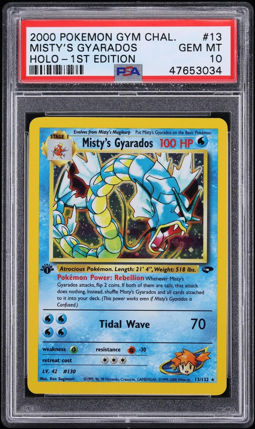 Misty'S Gyarados