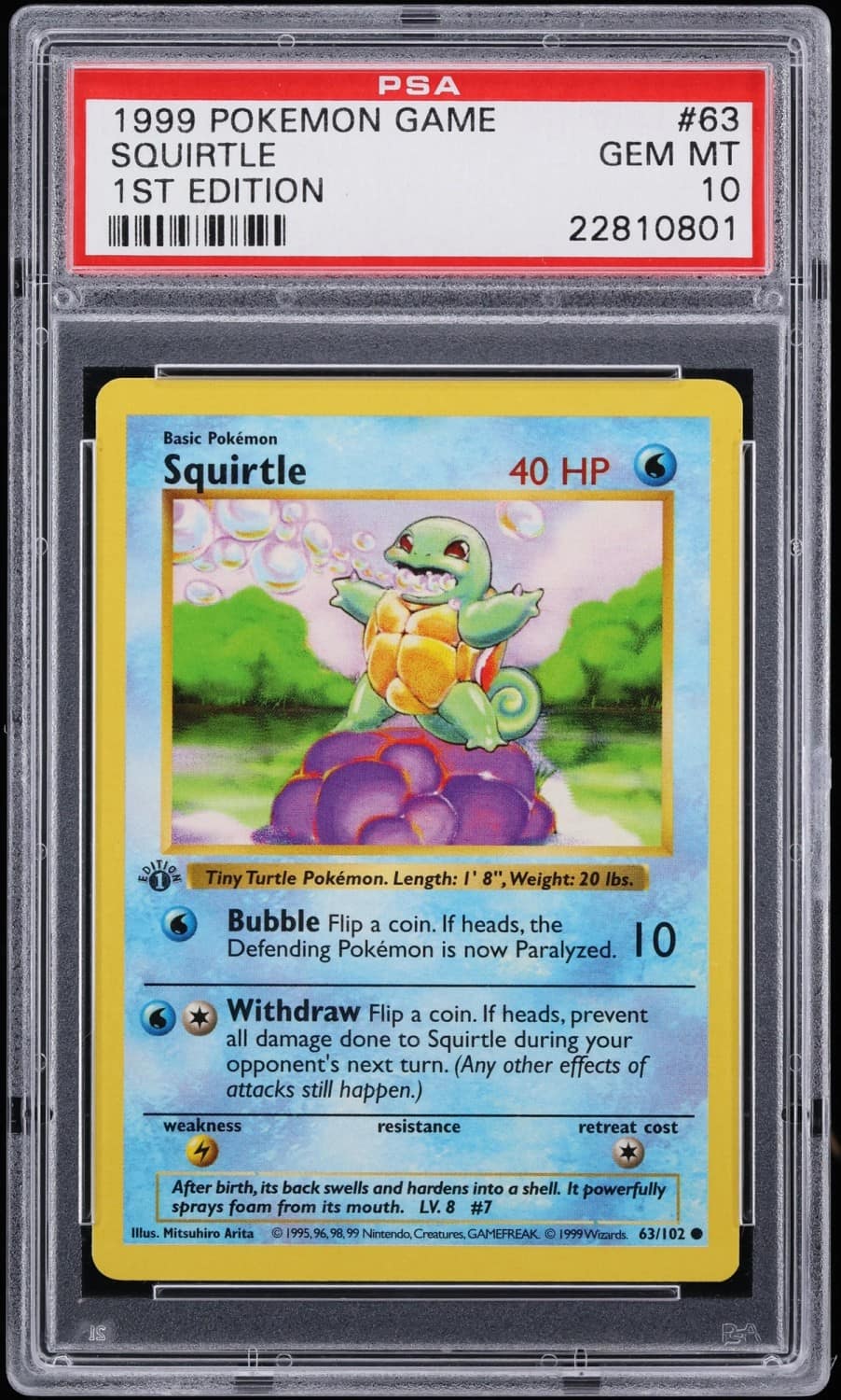 Squirtle