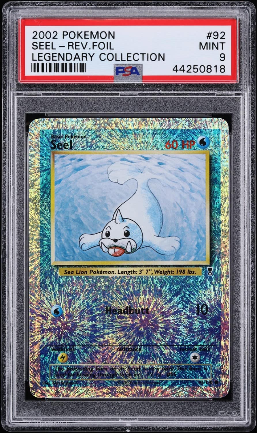 Seel