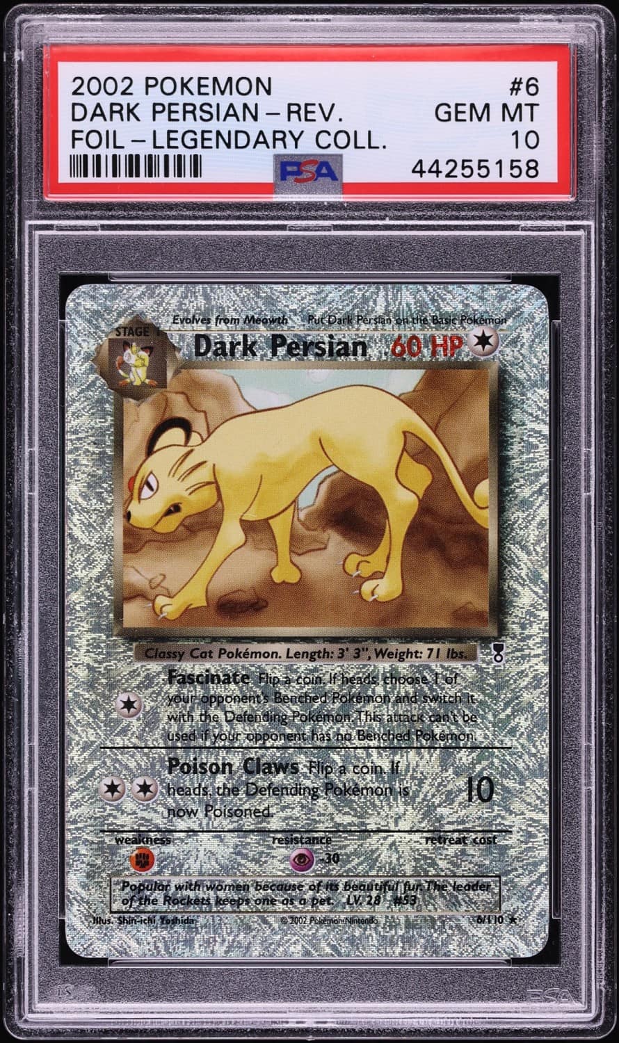 Dark Persian