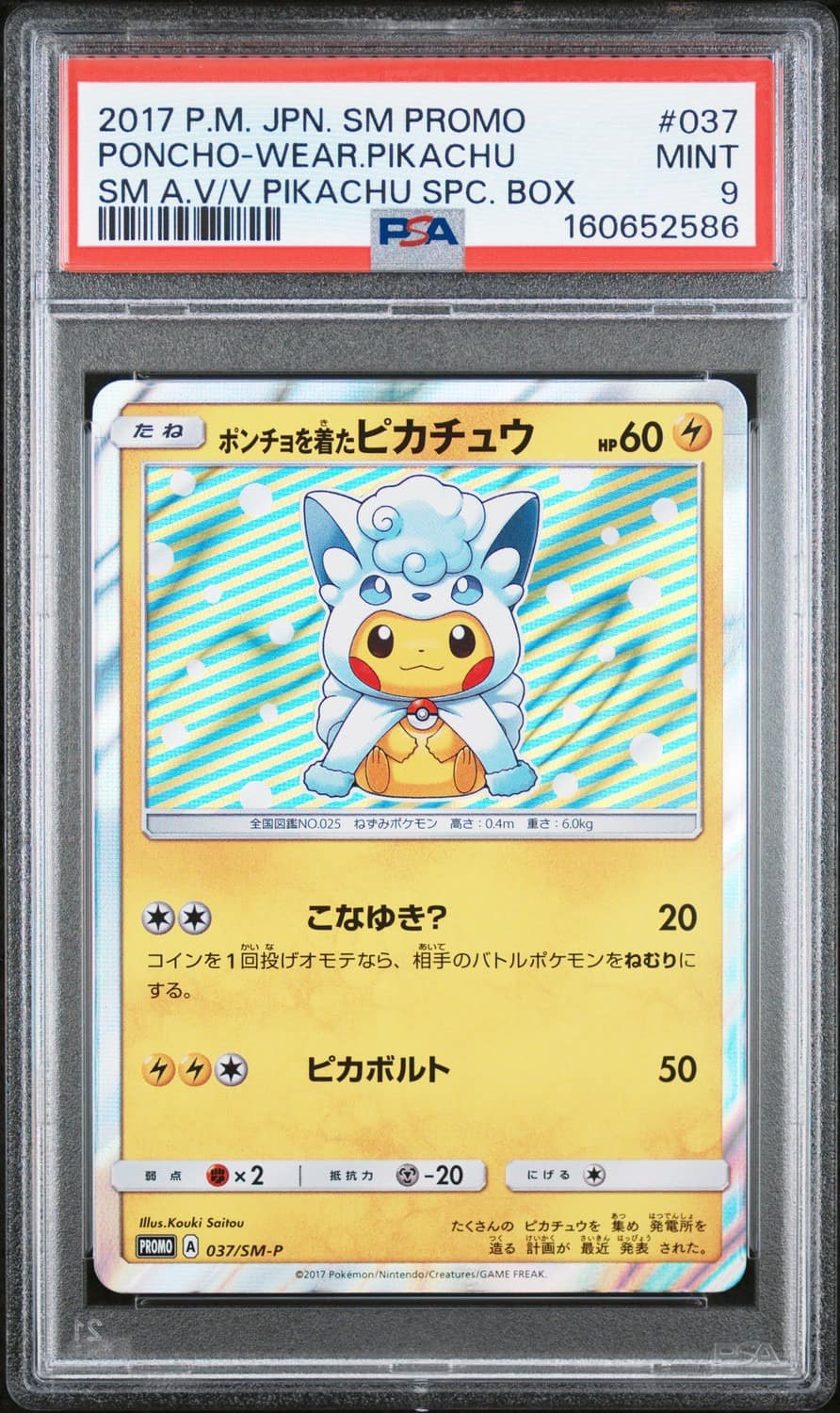 Poncho-Wearing Pikachu