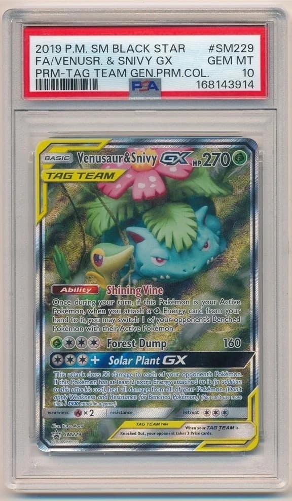 Venusaur & Snivy Gx
