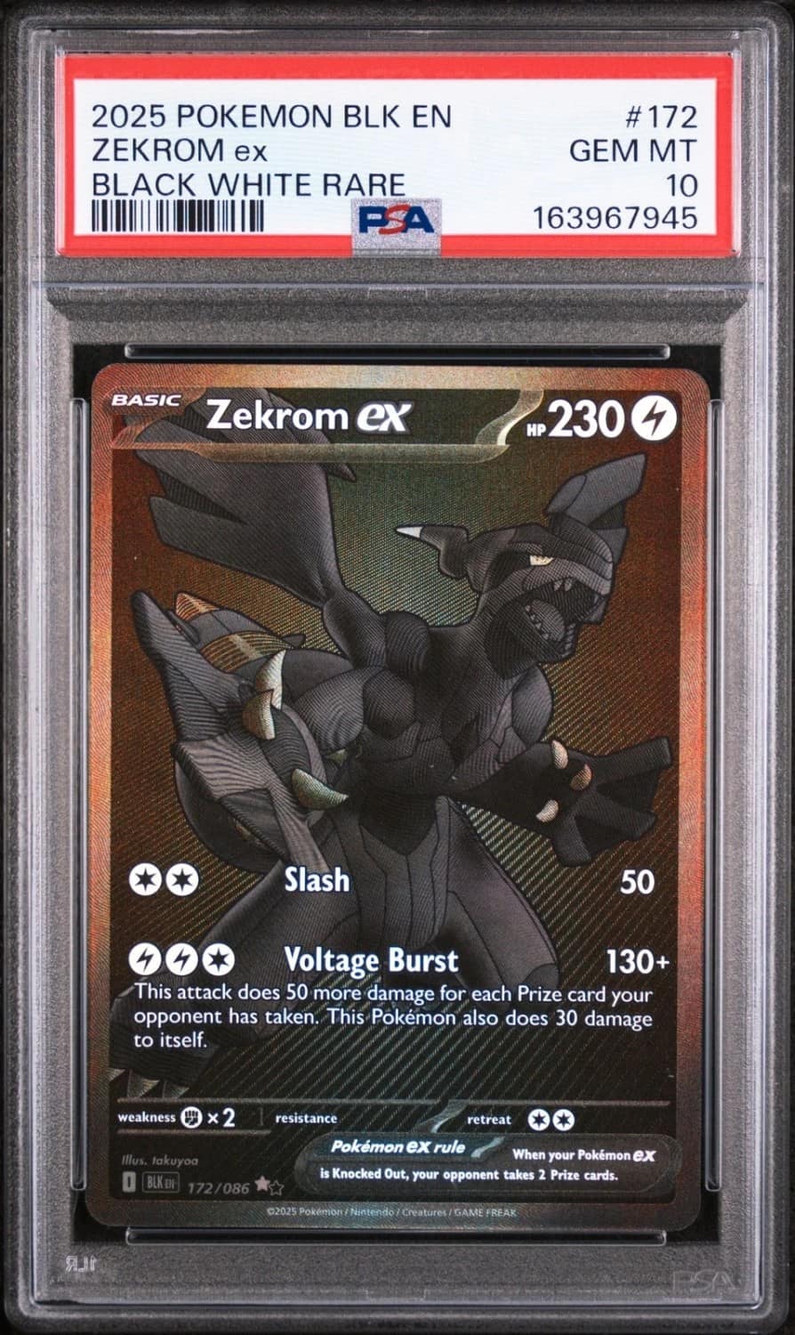 Zekrom Ex