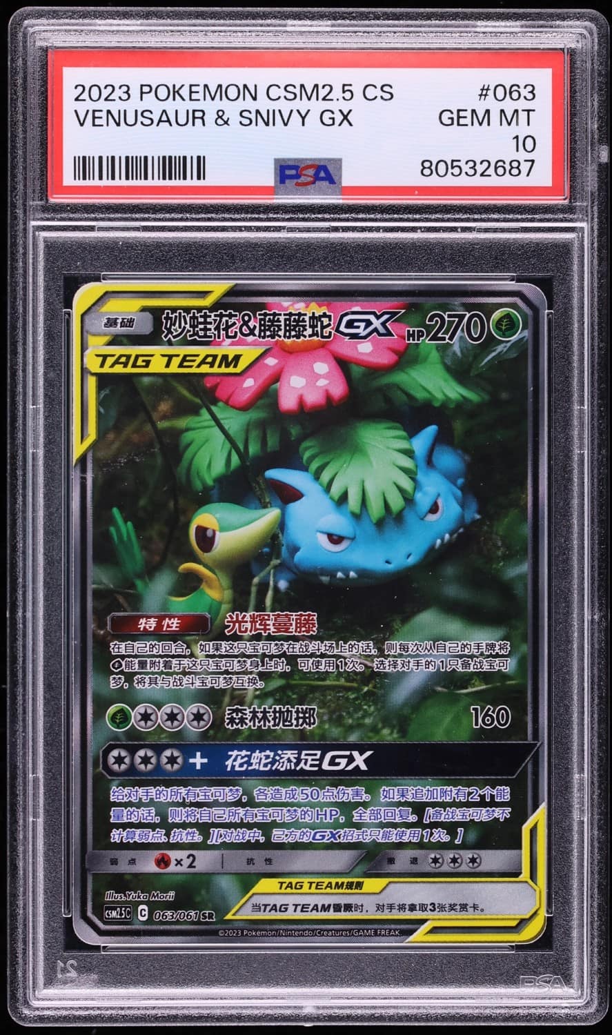 Venusaur & Snivy Gx