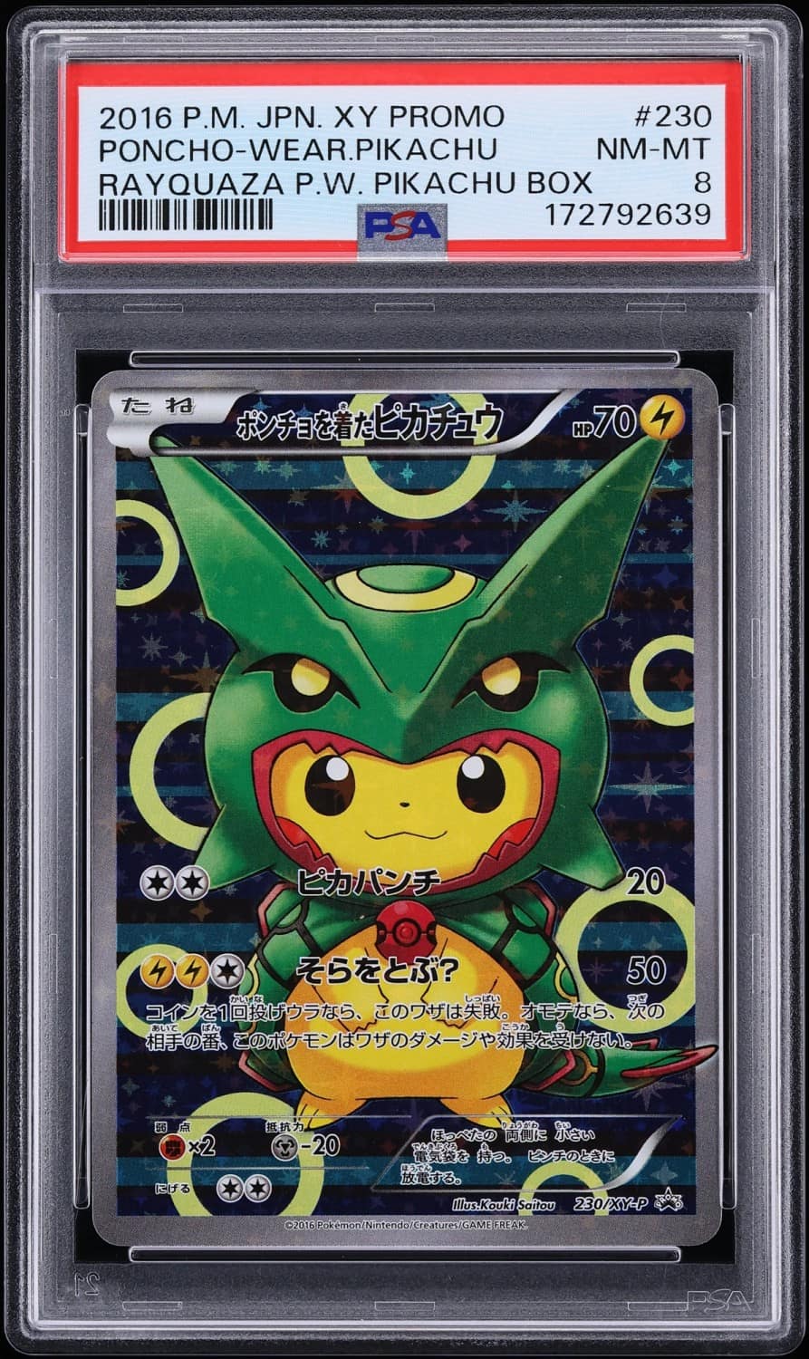 Poncho-Wearing Pikachu