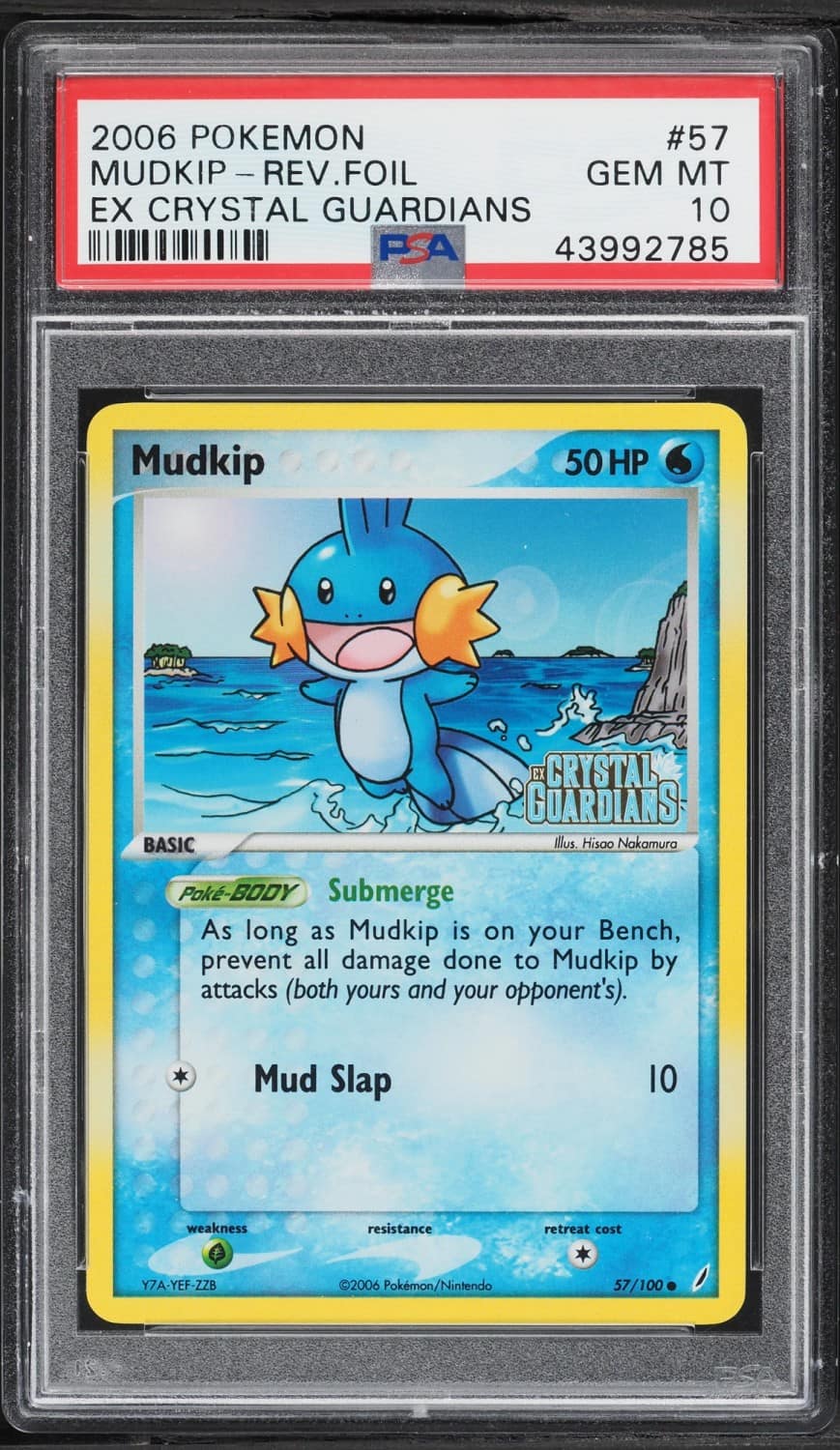 Mudkip