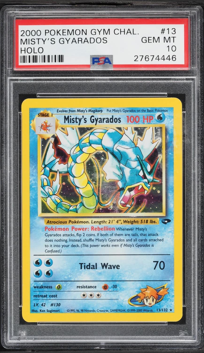 Misty'S Gyarados