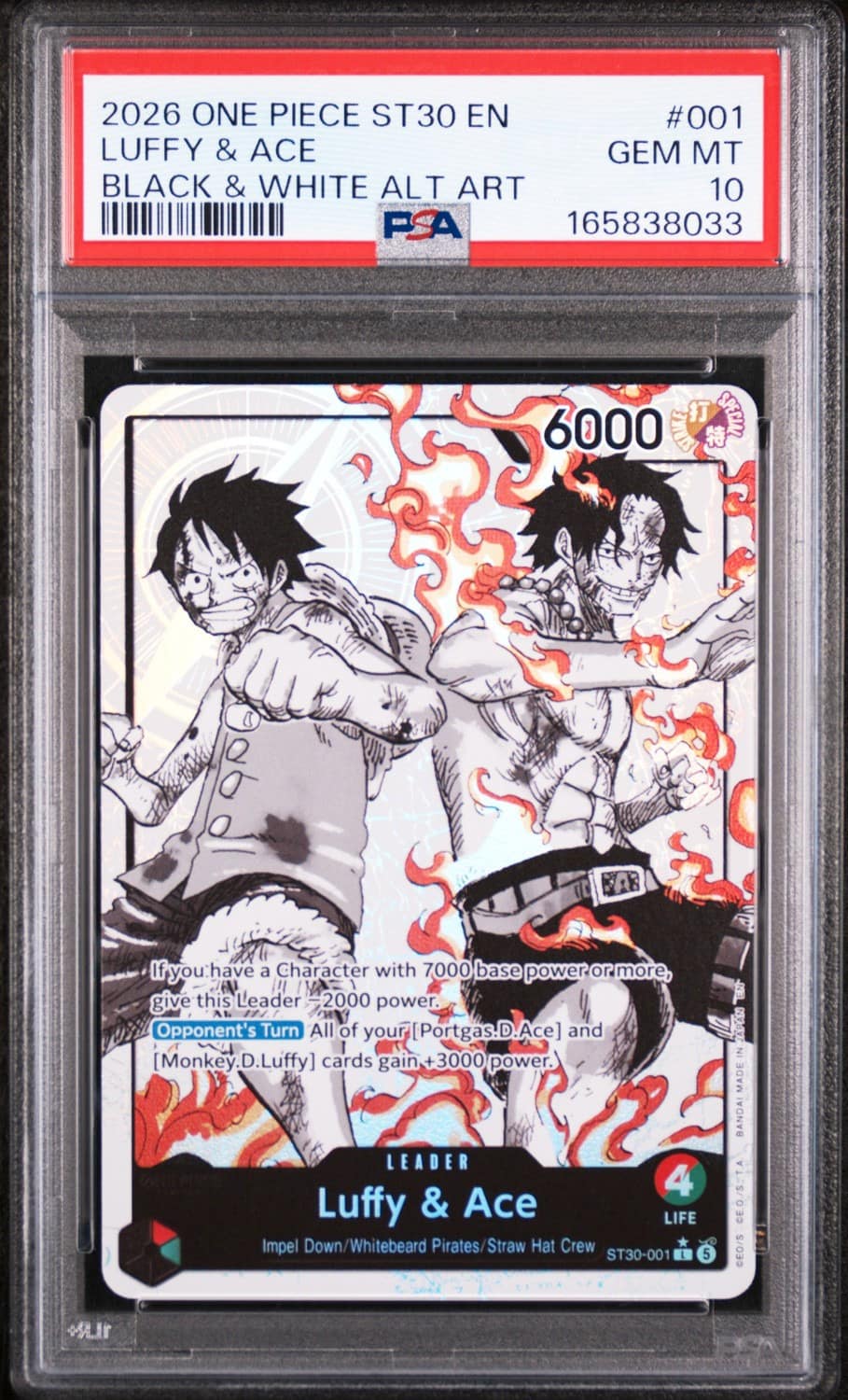 Luffy & Ace