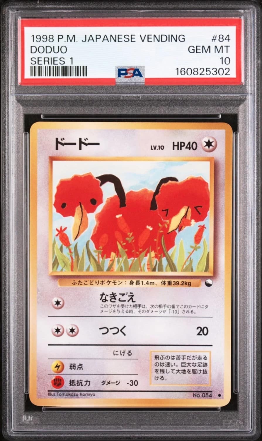 Doduo