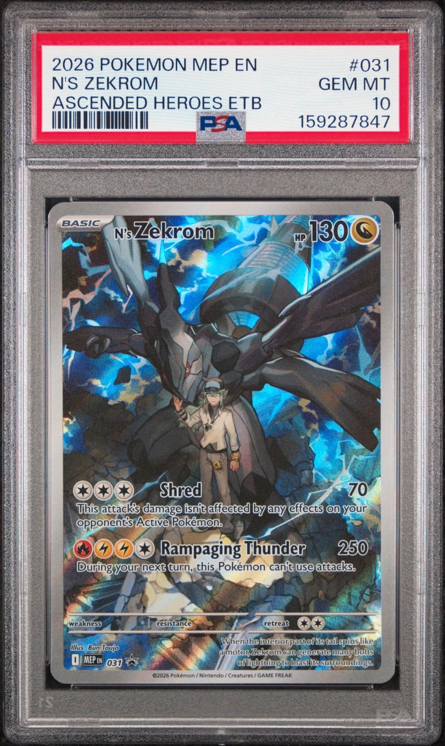 N'S Zekrom