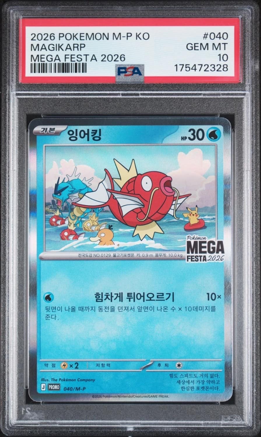 Magikarp