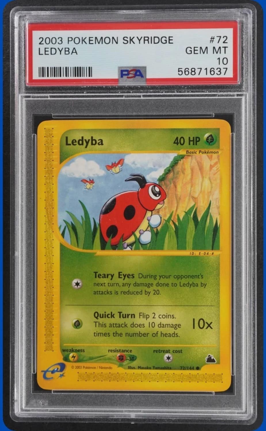 Ledyba