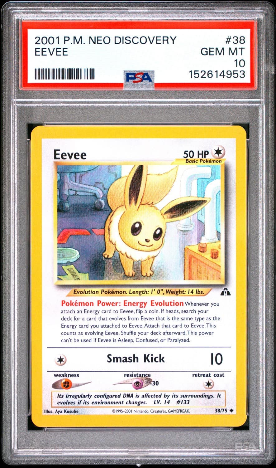 Eevee