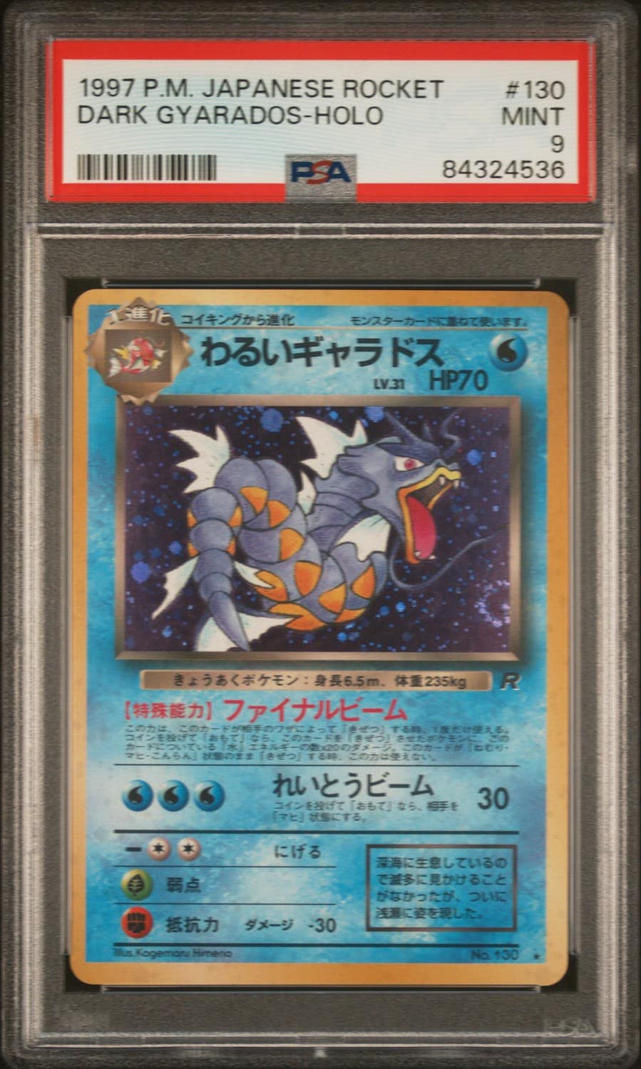 Dark Gyarados