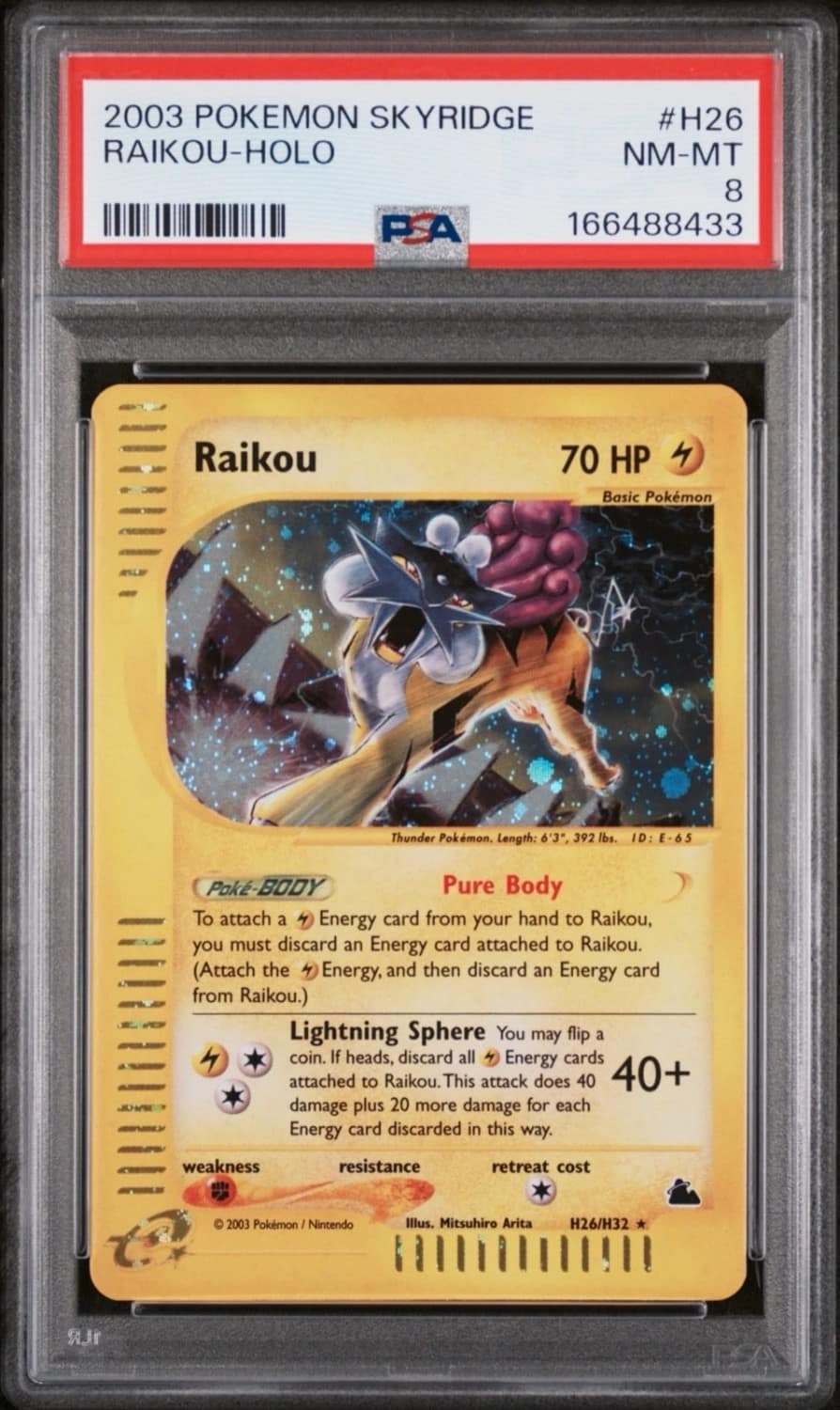 Raikou
