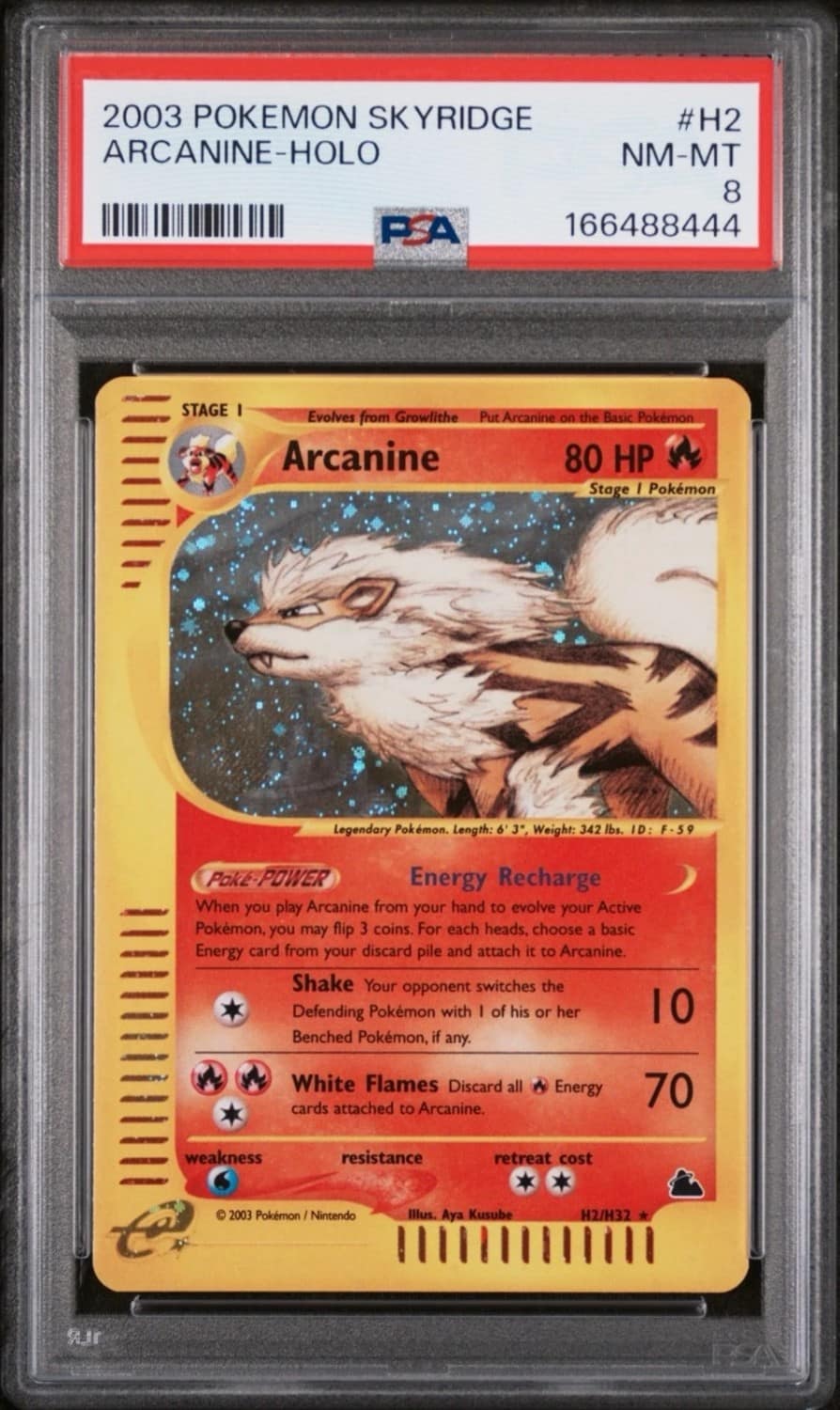 Arcanine