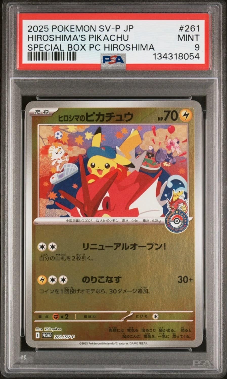 Hiroshima'S Pikachu