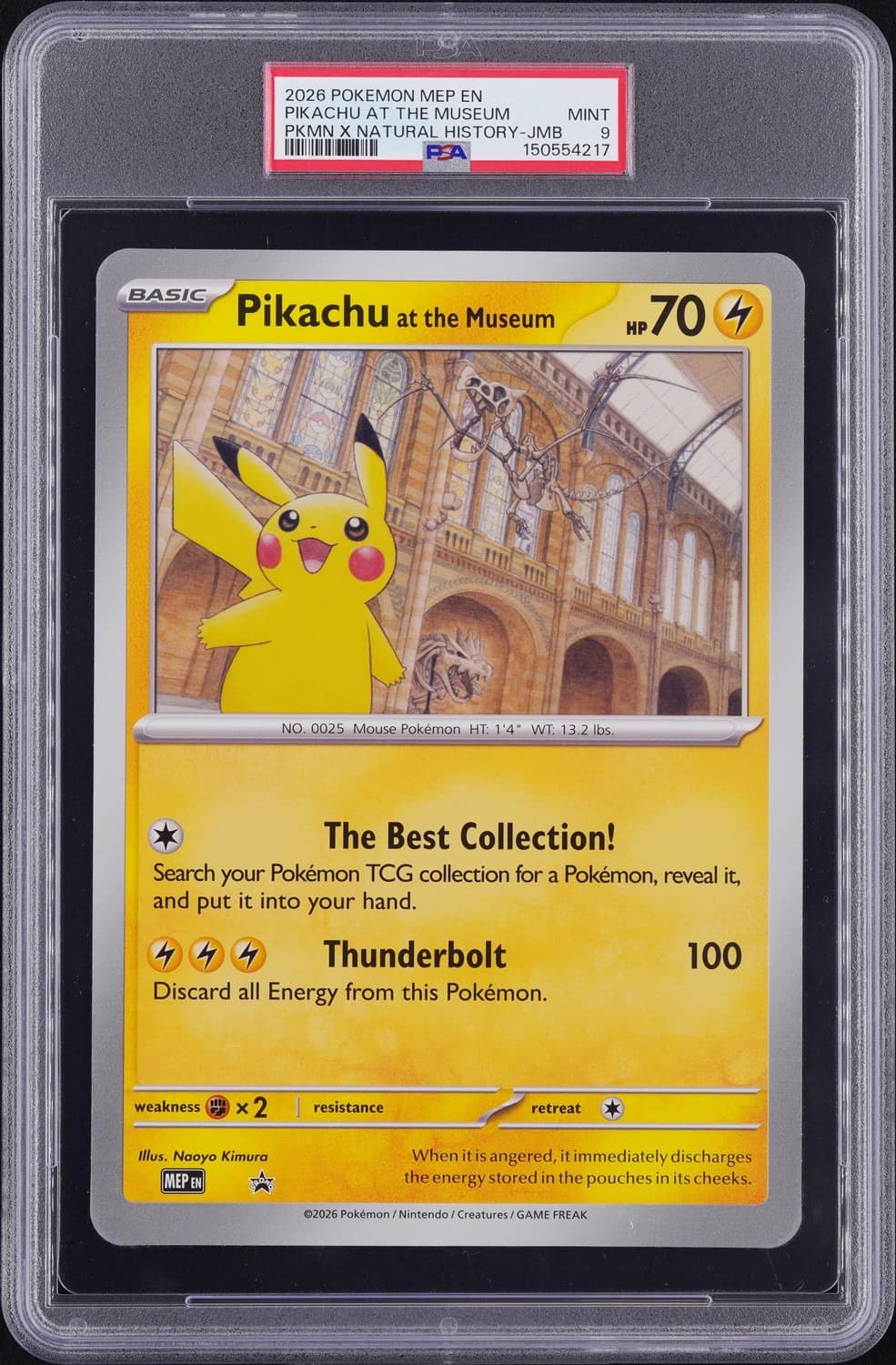 Pikachu At The Museum
