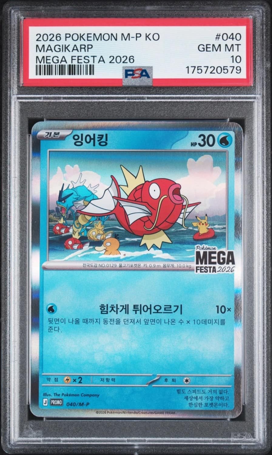 Magikarp