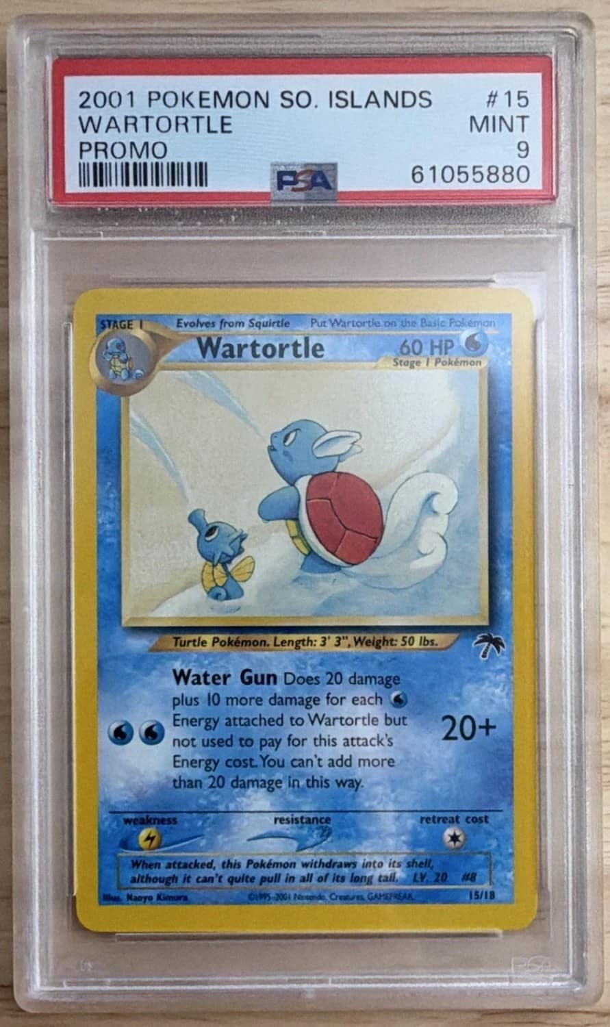 Wartortle