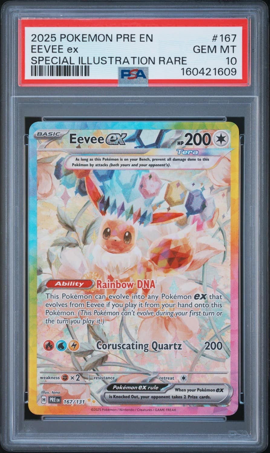 Eevee Ex