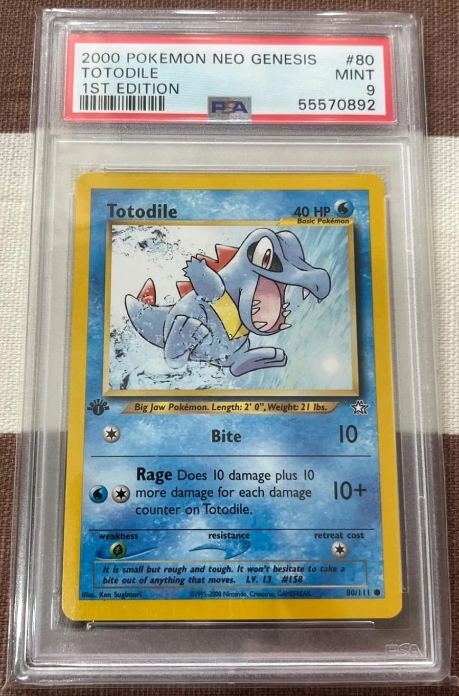 Totodile