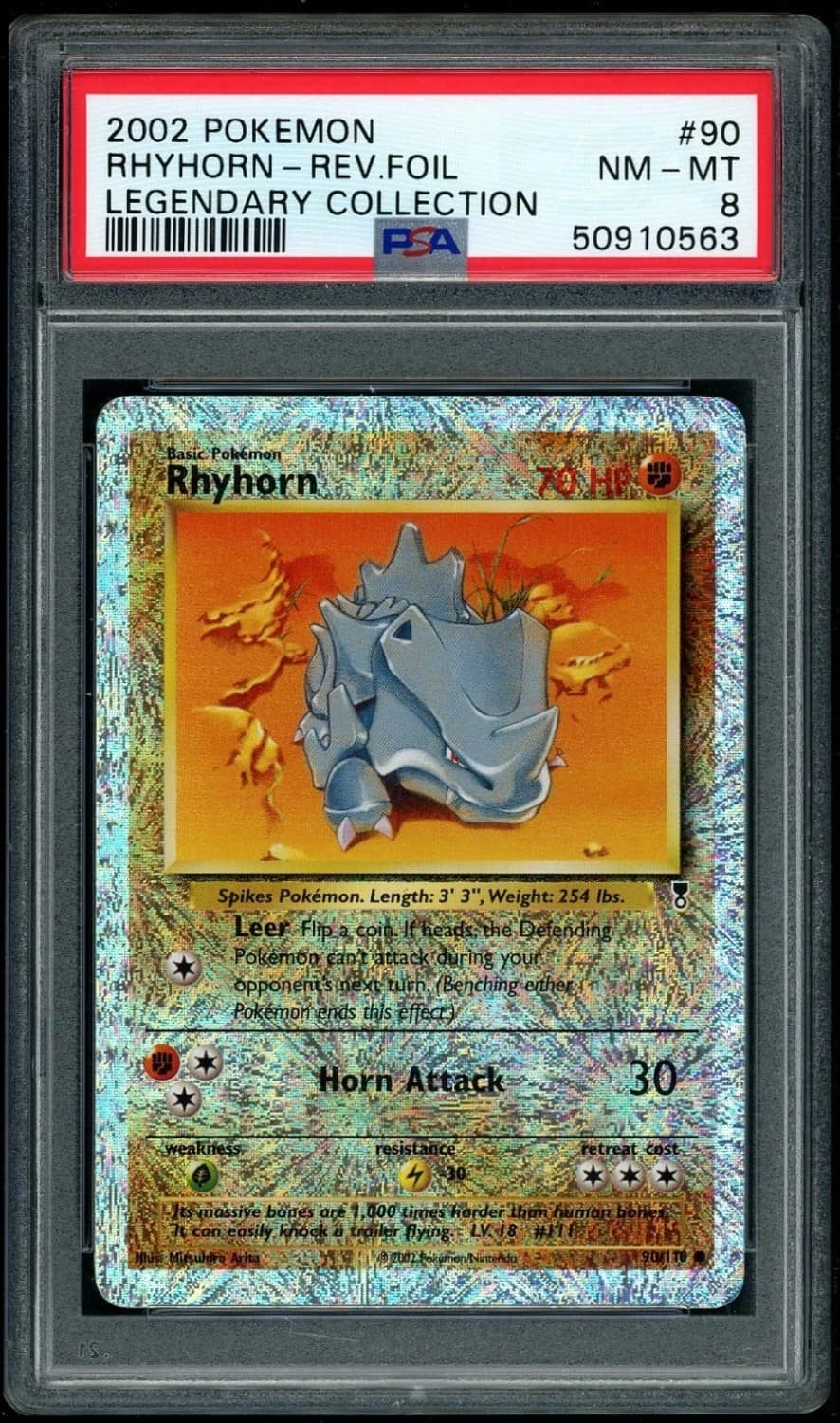 Rhyhorn