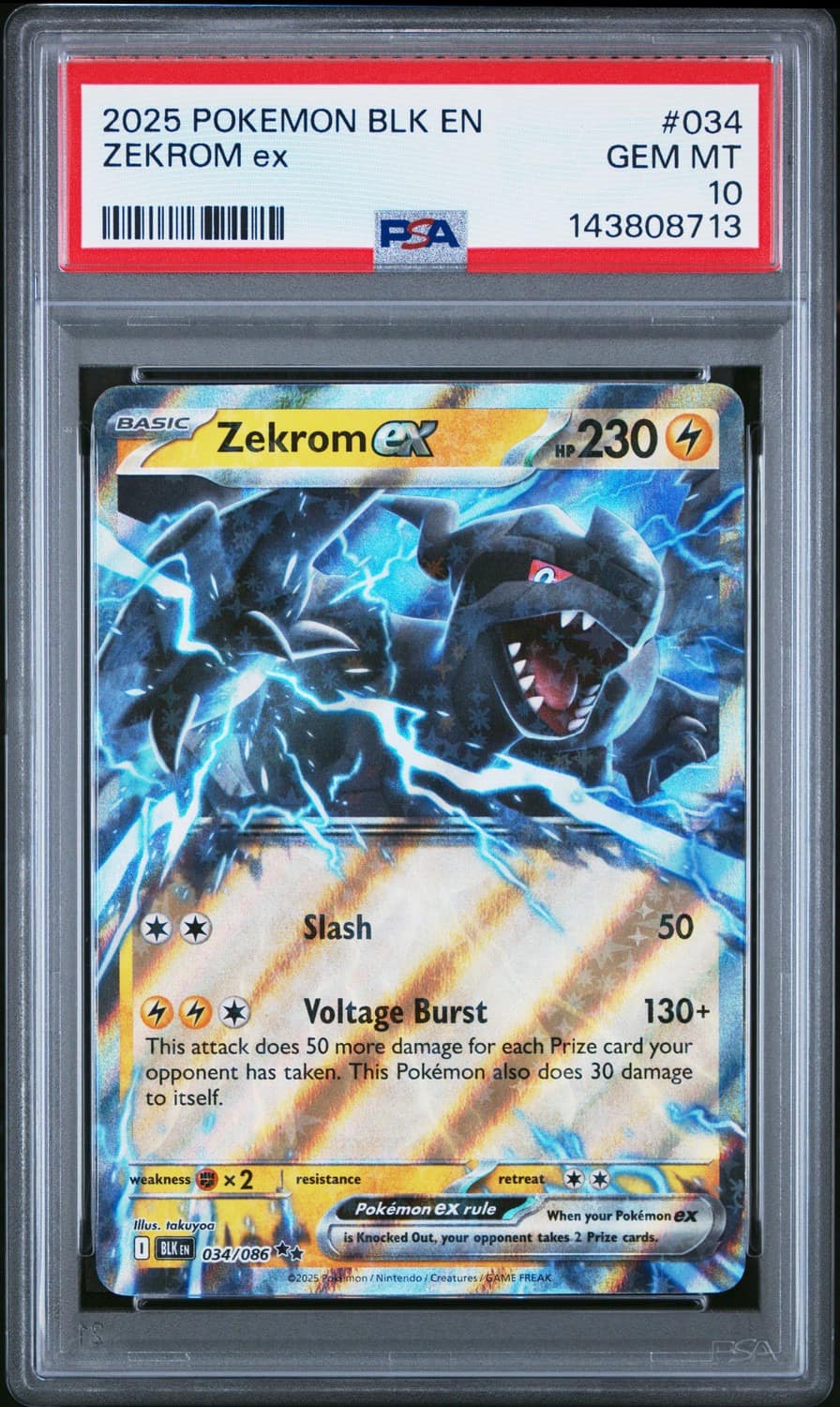 Zekrom Ex