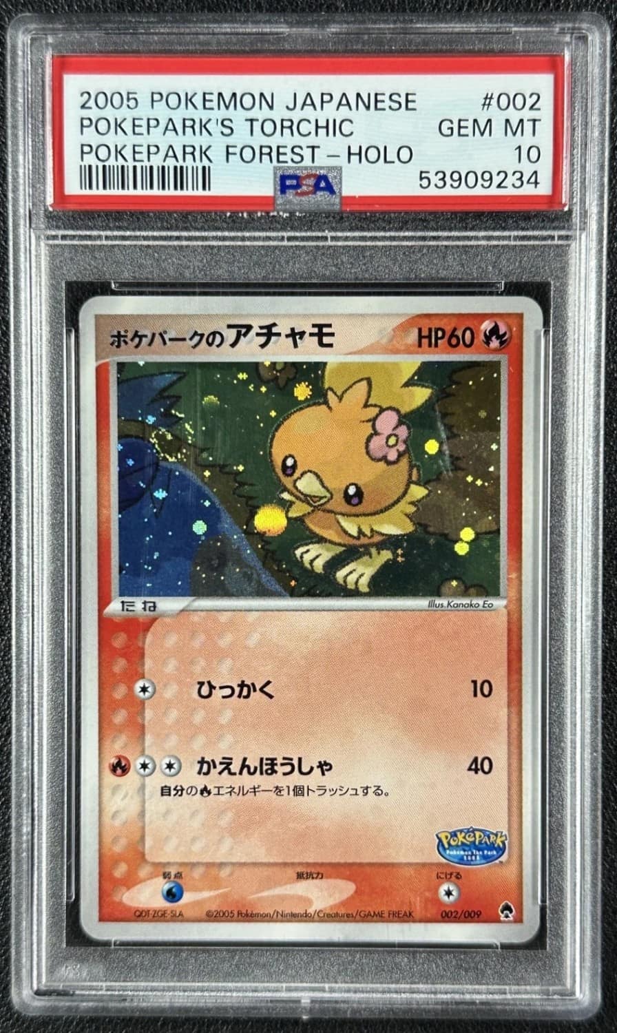 Pokepark'S Torchic