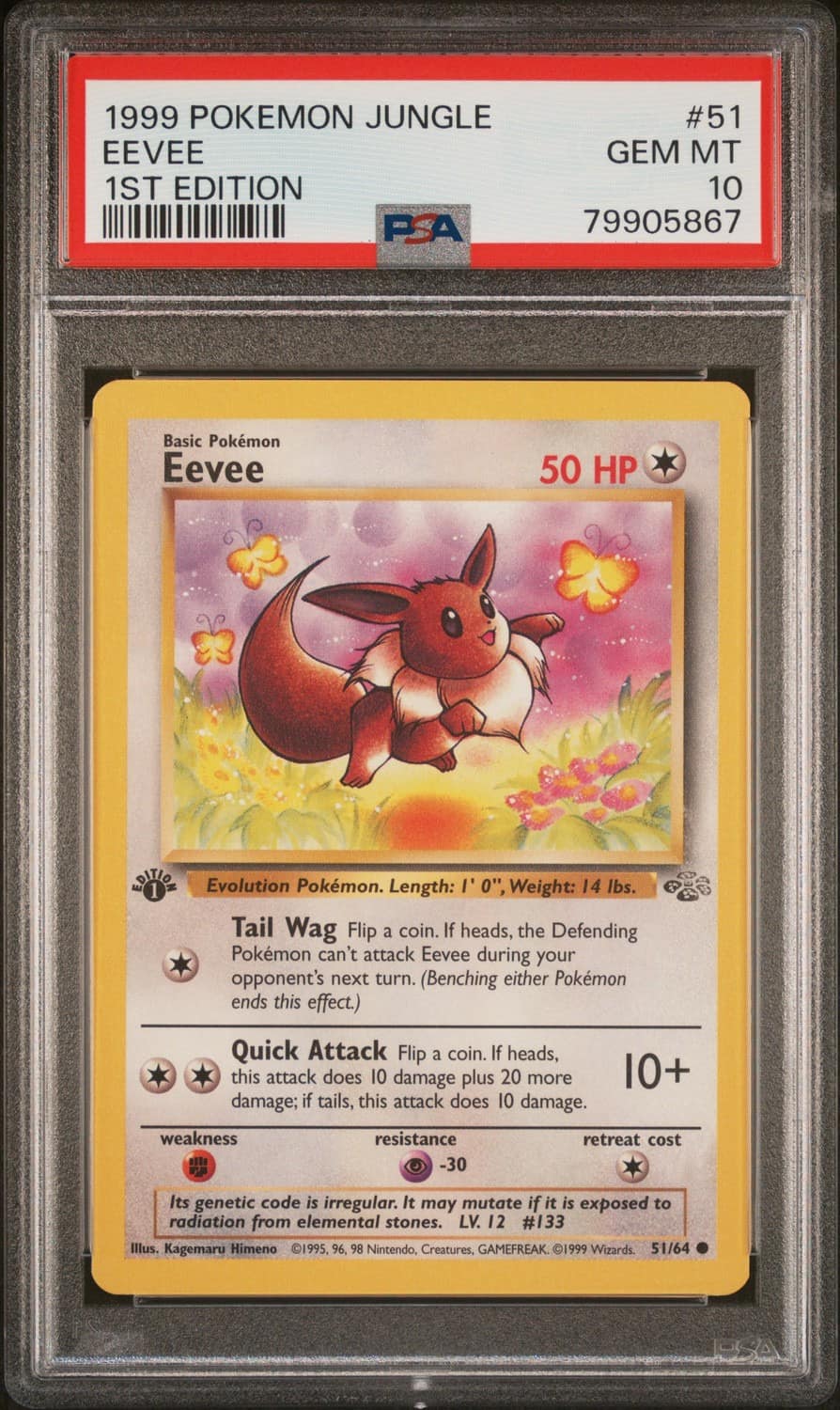 Eevee