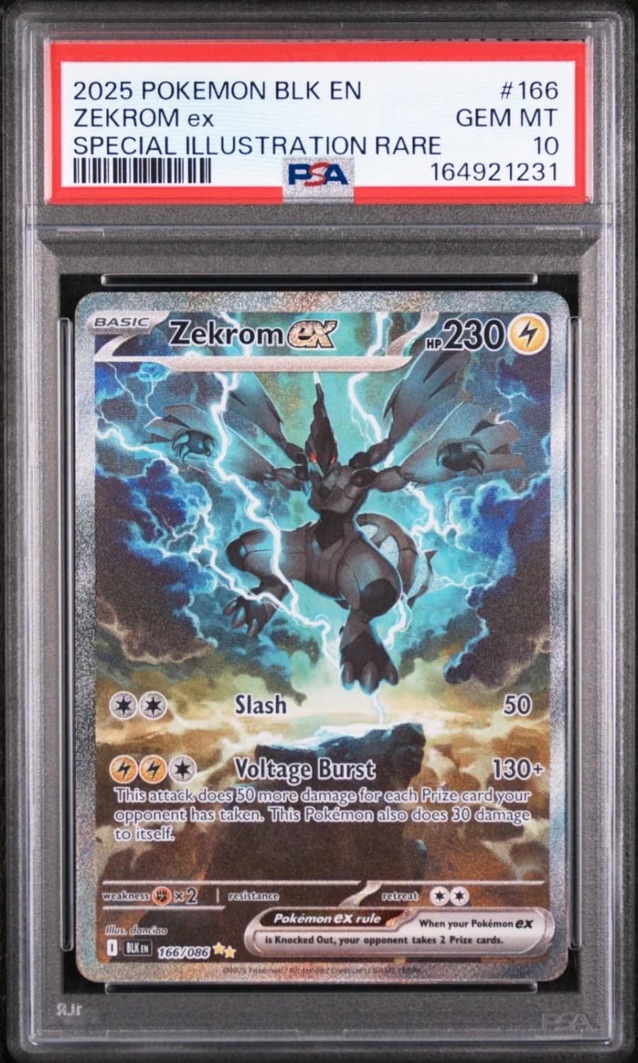 Zekrom Ex