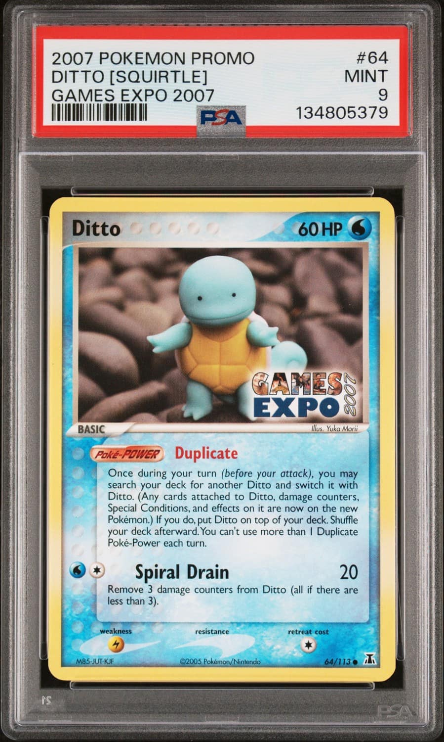 Ditto [squirtle]