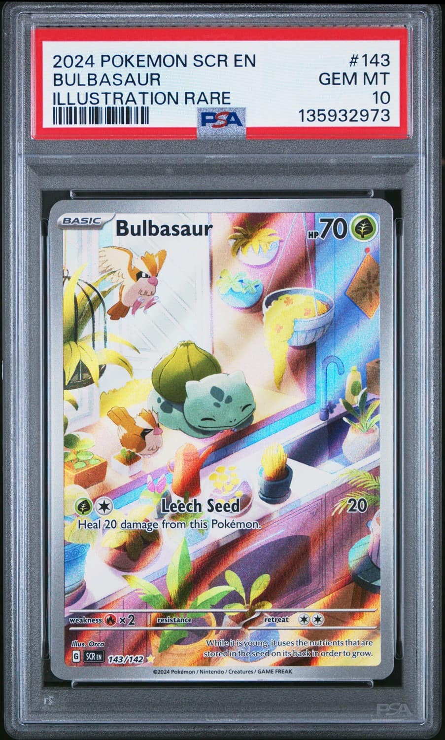 Bulbasaur