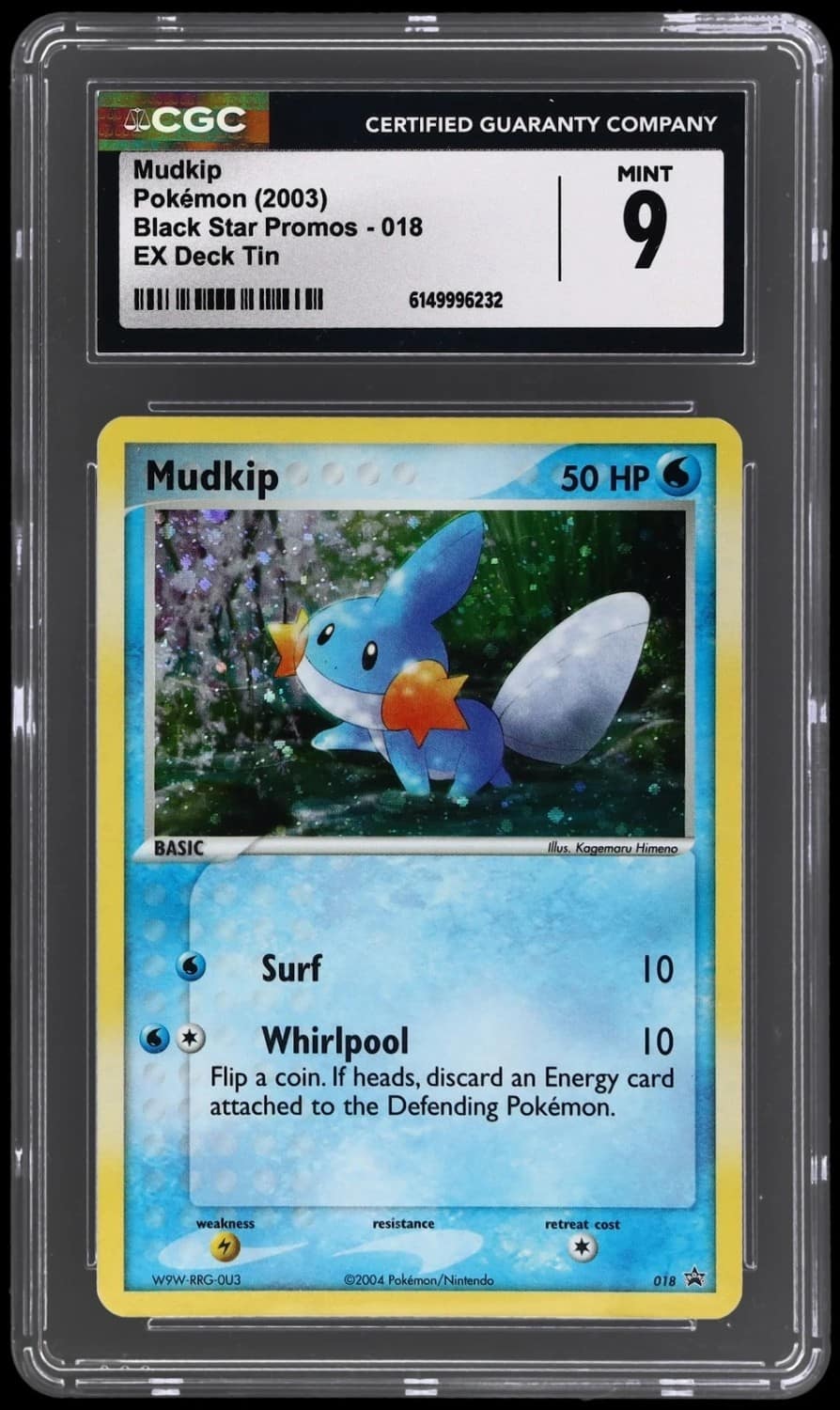 Mudkip