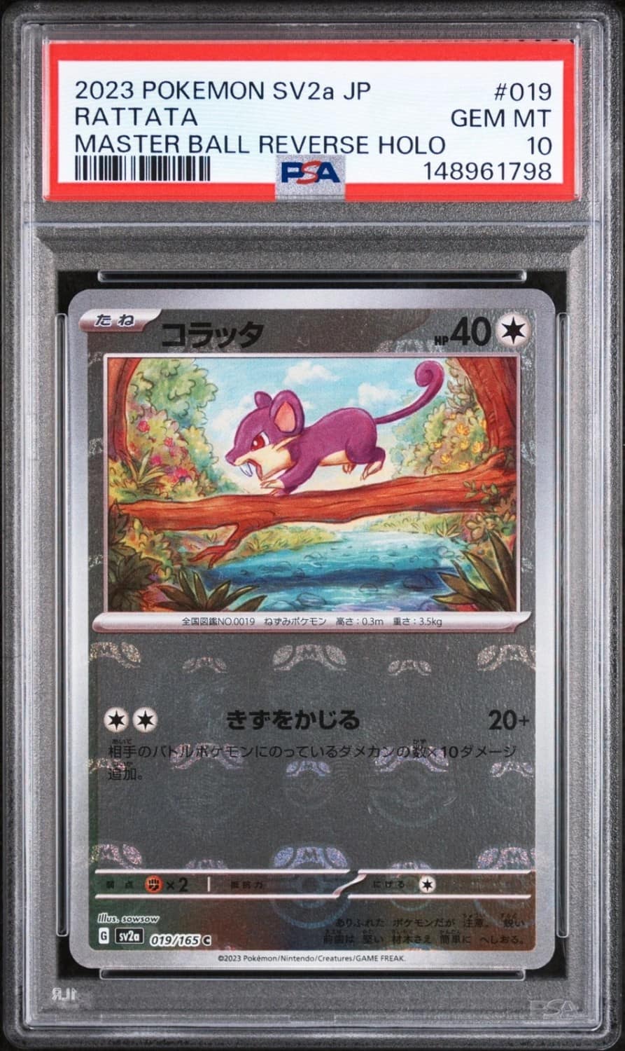 Rattata