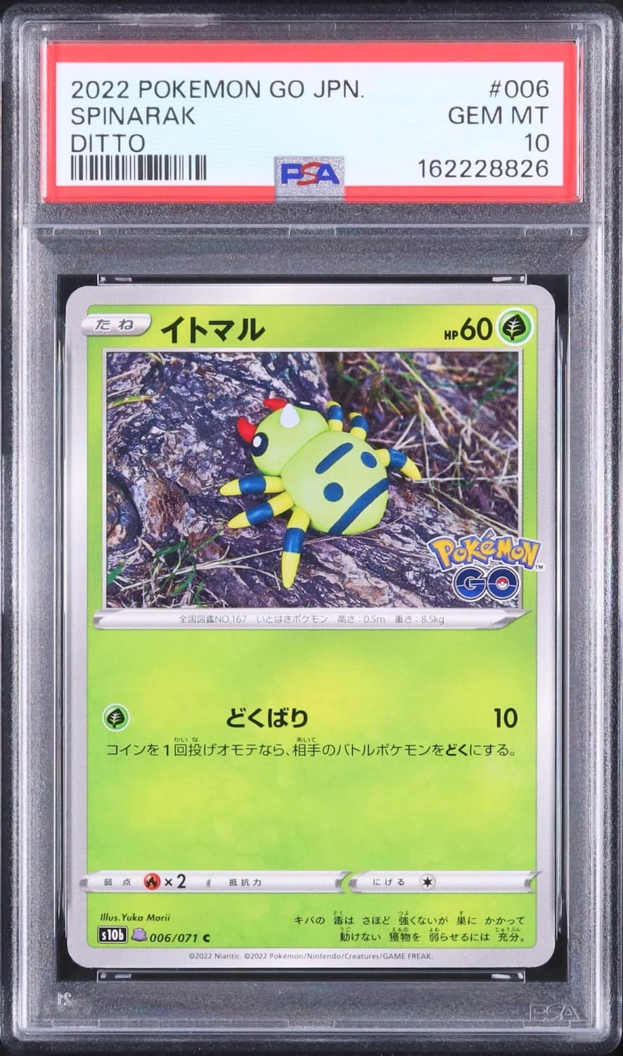 Spinarak