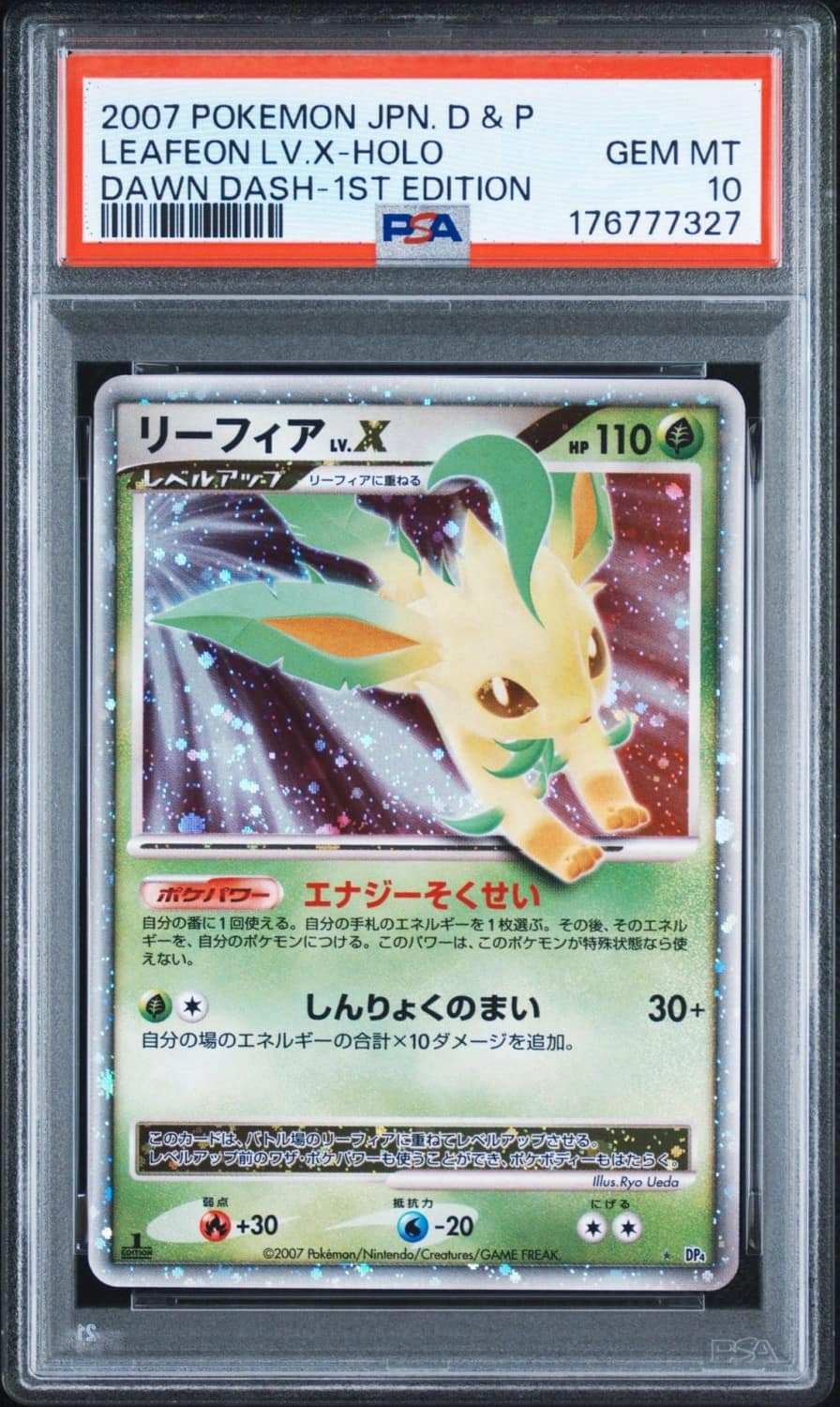 Leafeon Lv X