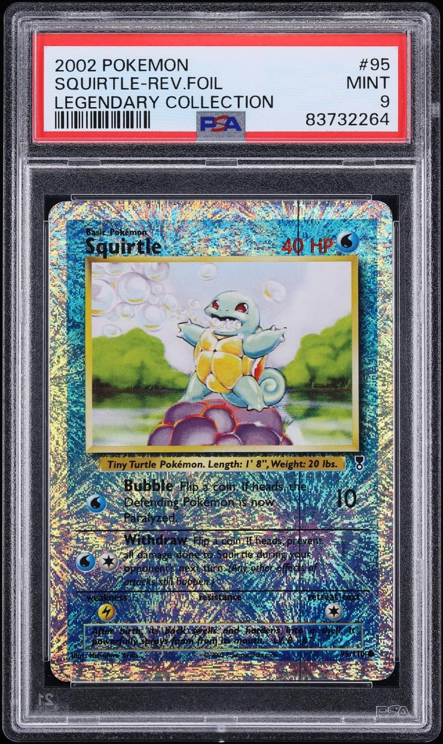Squirtle