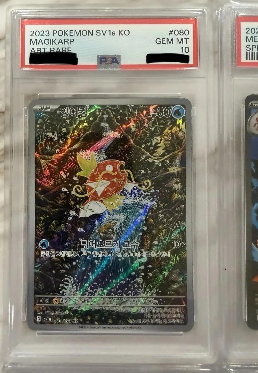 Magikarp