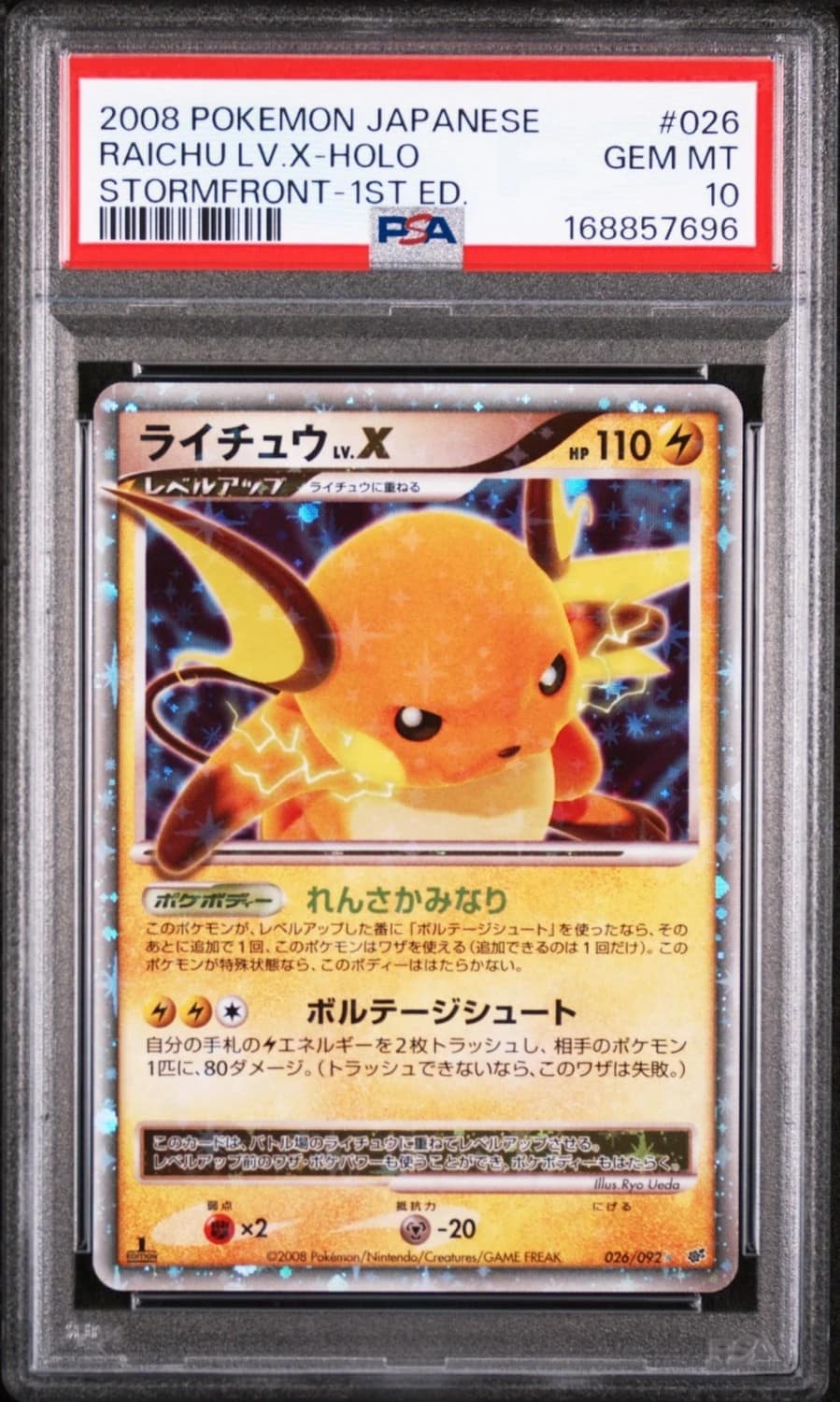 Raichu Lv.x