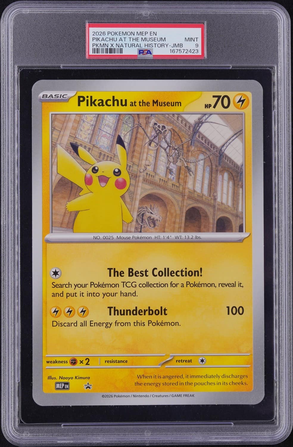 Pikachu At The Museum