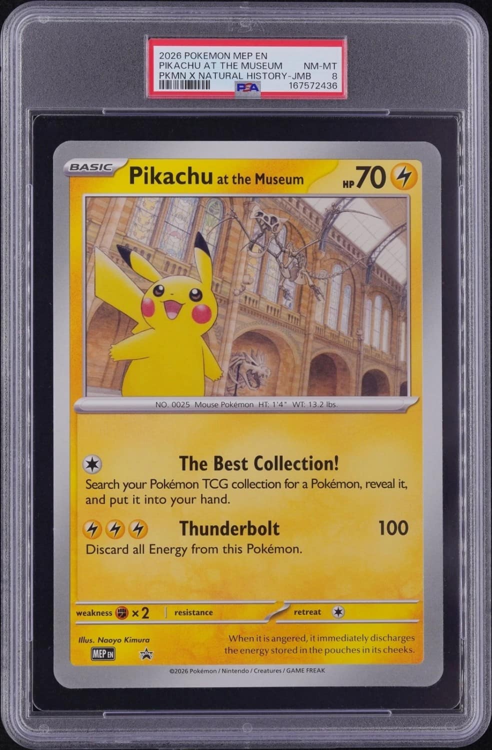 Pikachu At The Museum