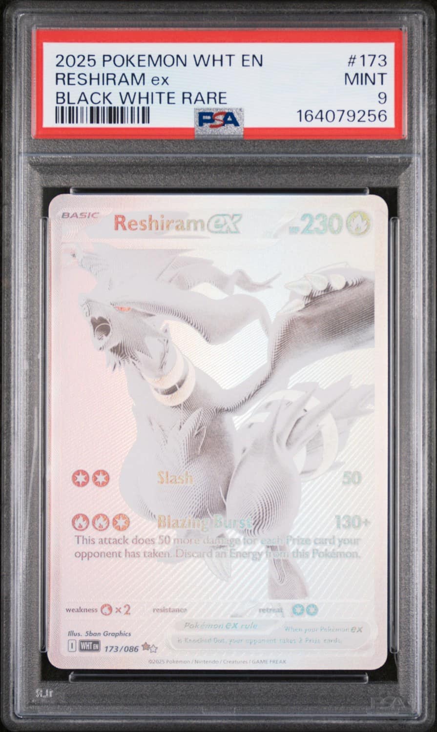 Reshiram Ex