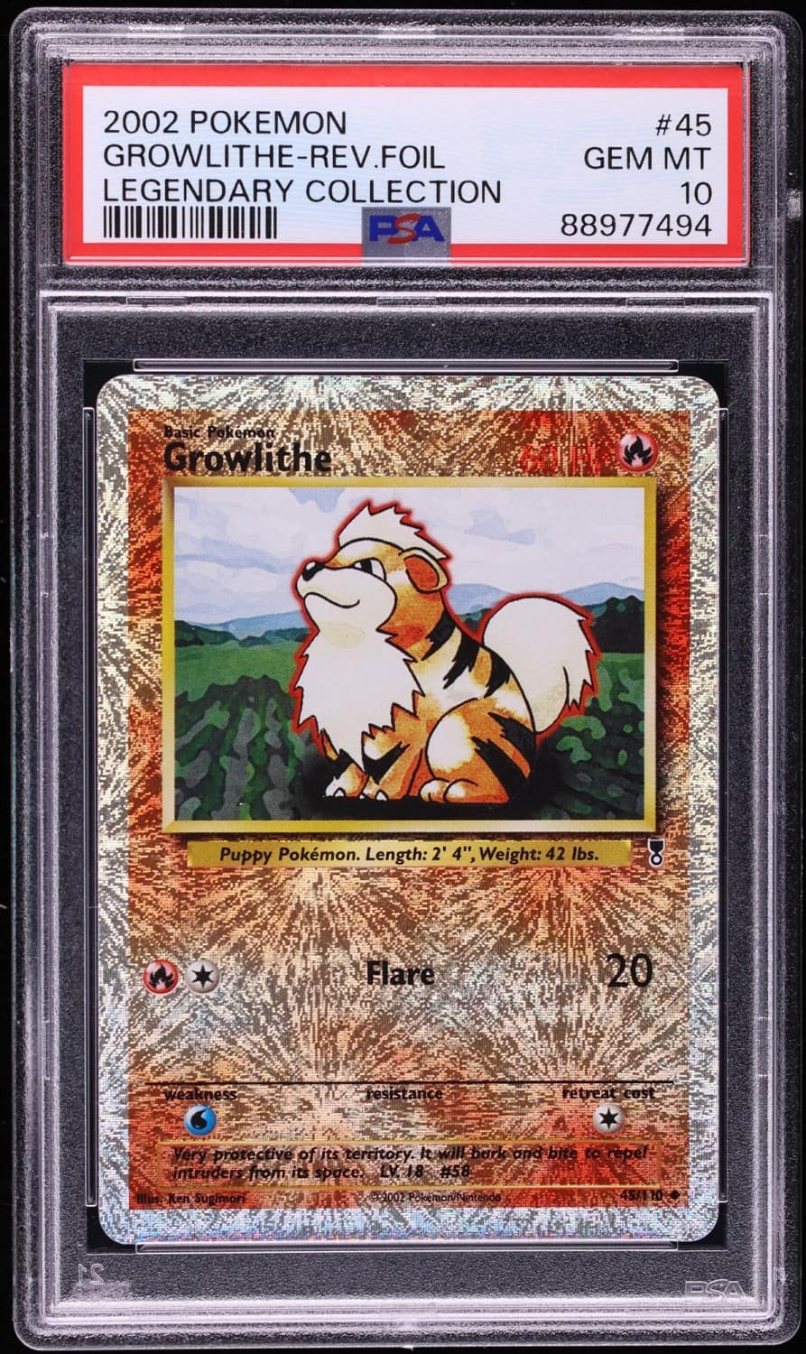 Growlithe