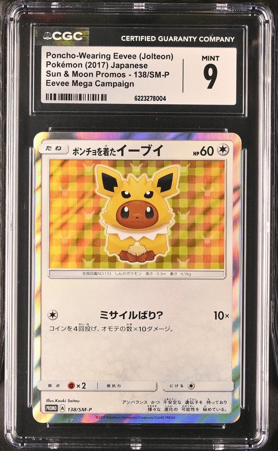 Poncho-Wearing Eevee